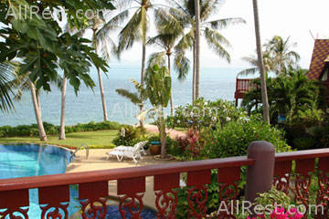 Coconut Paradise 40